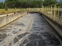 /album/mjelkopuzyrchataja-aeratsija-akon-fotogaljerjeja/havirov-jpg/