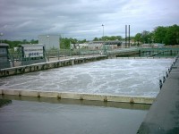 /album/mjelkopuzyrchataja-aeratsija-akon-fotogaljerjeja/cheb-jpg/